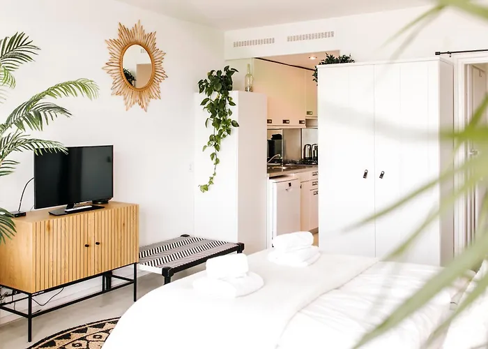 At Sea Апартаменты Зандфорт