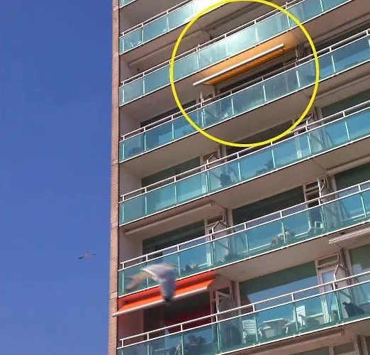 Апартаменты At Sea Зандфорт